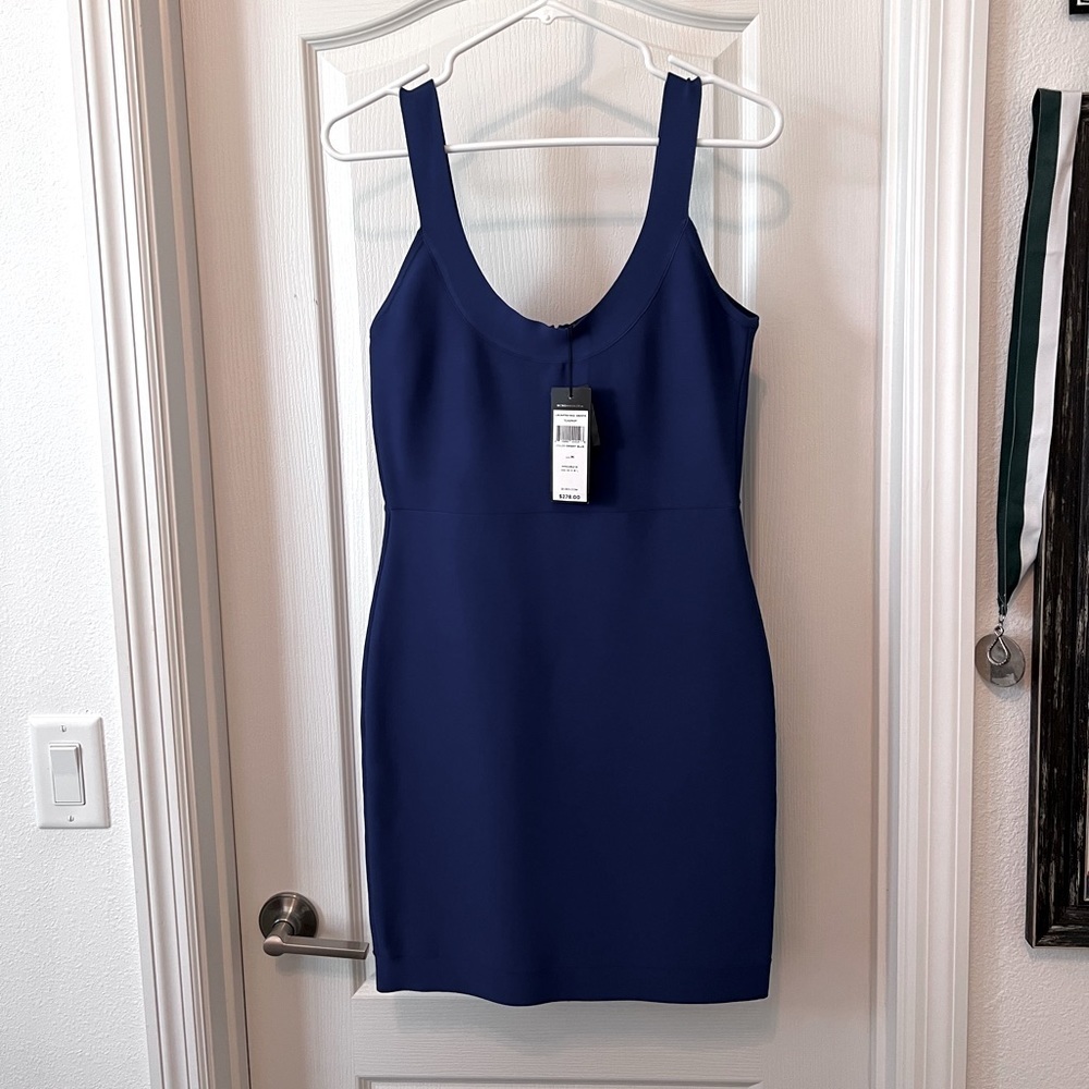 BCBG Maxazria Sleeveless Bodycon Dress